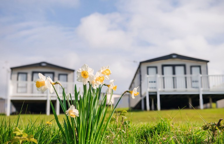 Late Spring Window View Plan your perfect spring escape to the coast – Tempo Destinations